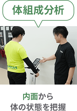 体組成分析