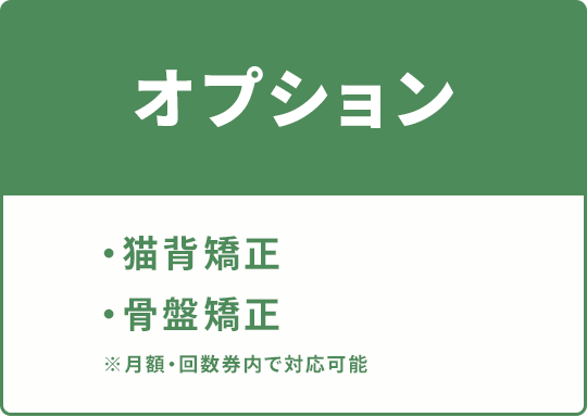オプション：猫背矯正・骨盤矯正